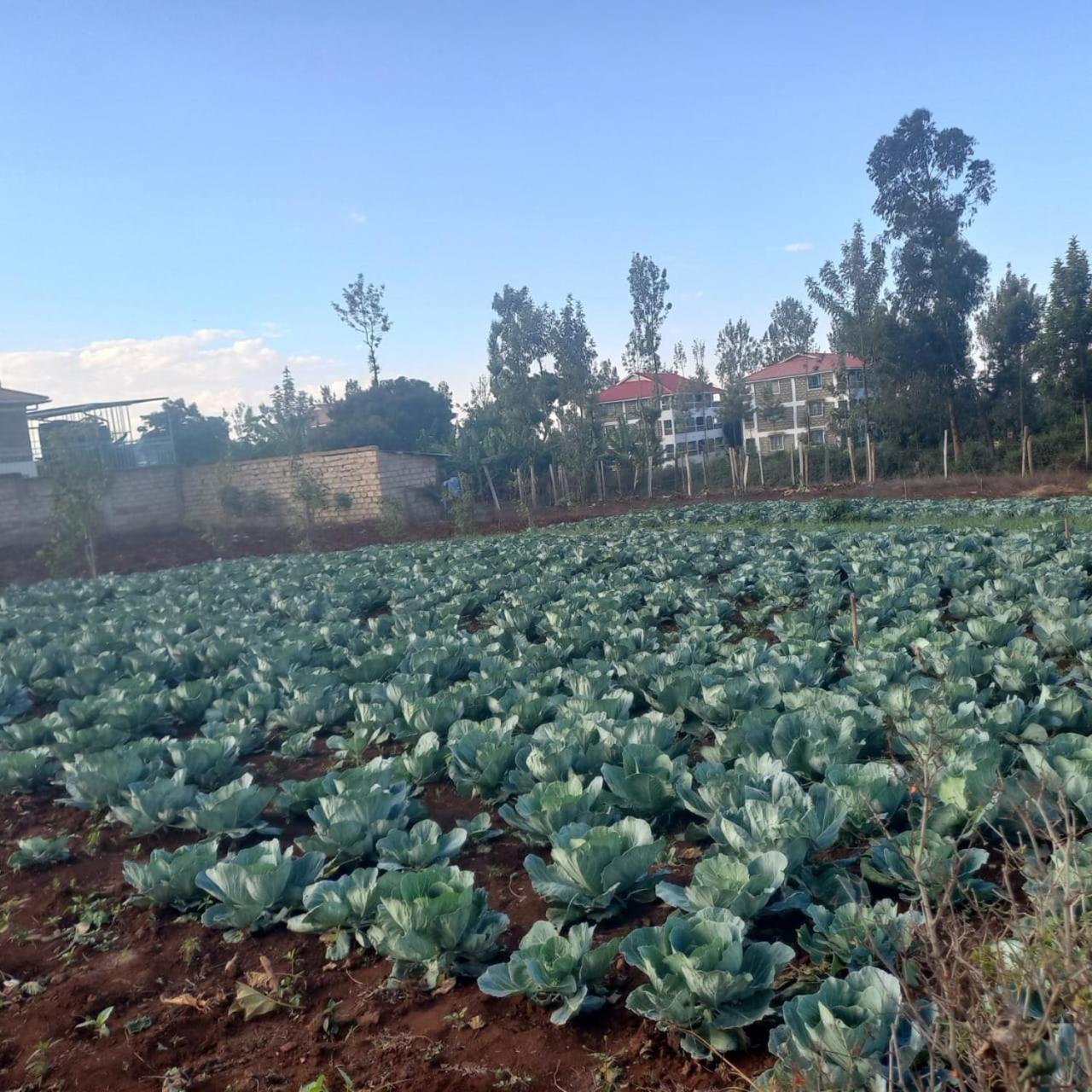 Gatimene Gardens Hotel Meru Extérieur photo